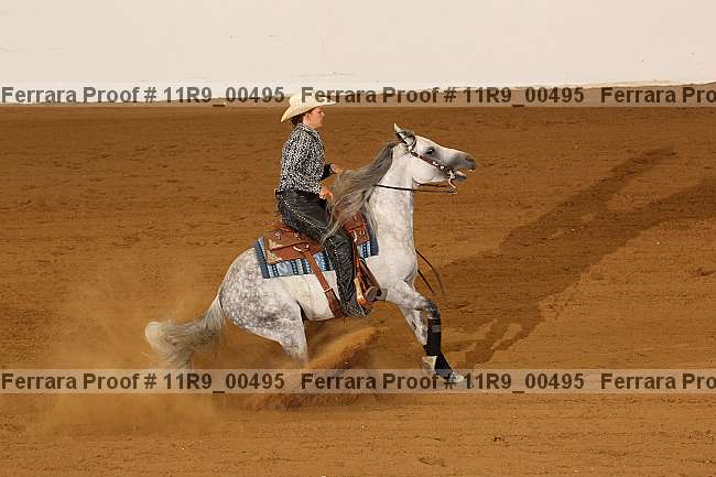 Proof 11r9_00495