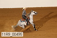 11r9_00495 proof