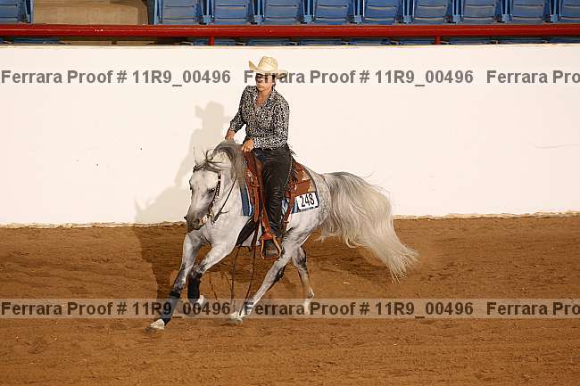 Proof 11r9_00496