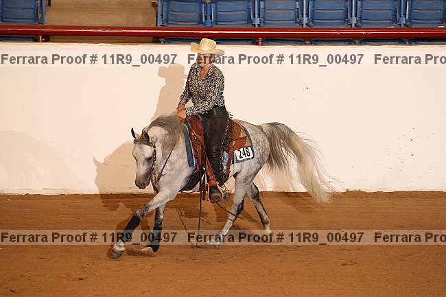 Proof 11r9_00497