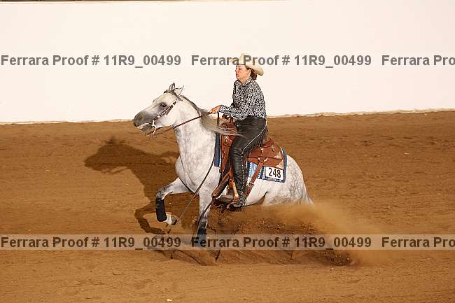 Proof 11r9_00499