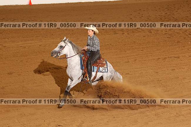 Proof 11r9_00500
