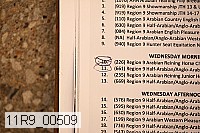 11r9_00509 proof
