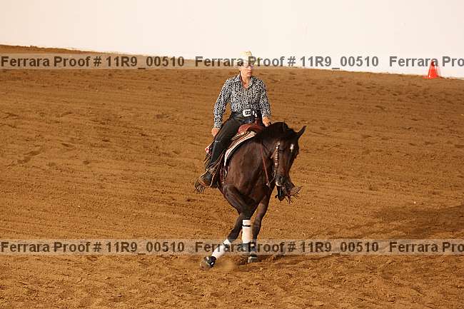 Proof 11r9_00510