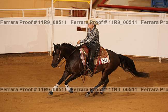 Proof 11r9_00511