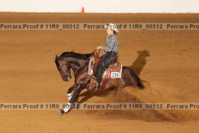 Proof 11r9_00512