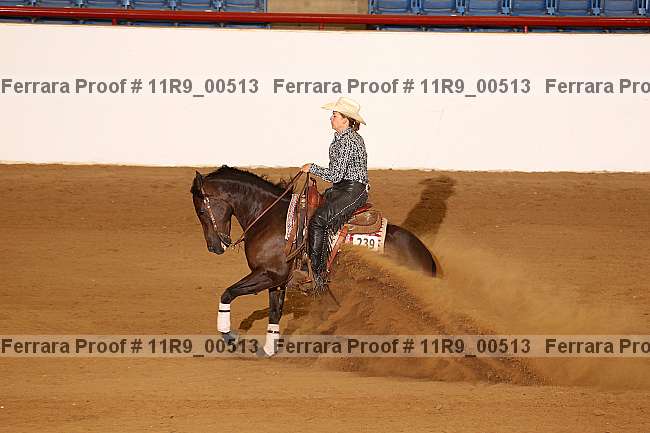 Proof 11r9_00513