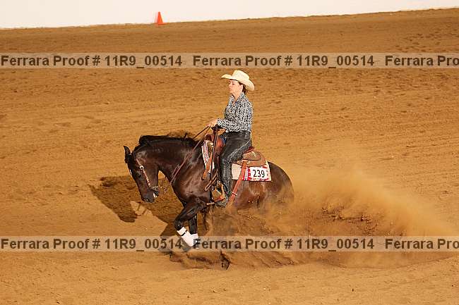 Proof 11r9_00514