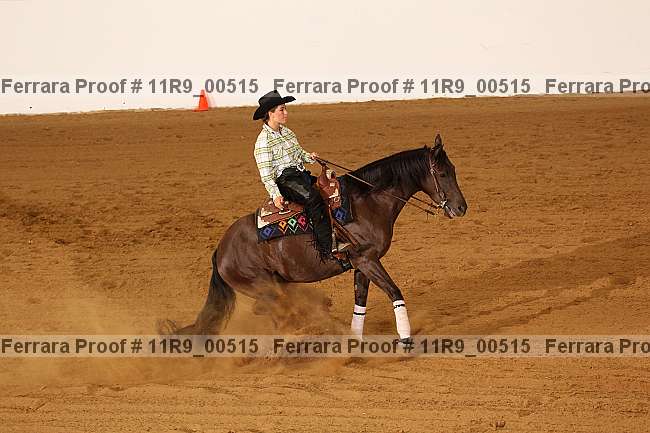 Proof 11r9_00515