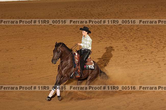 Proof 11r9_00516
