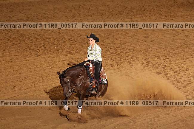 Proof 11r9_00517