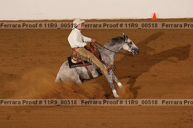 Proof 11r9_00518