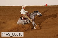11r9_00518 proof