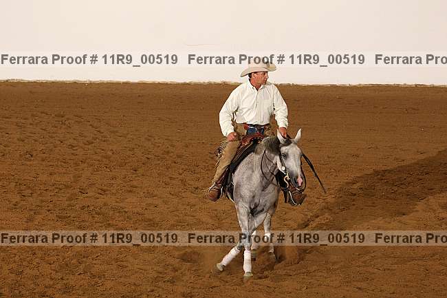 Proof 11r9_00519