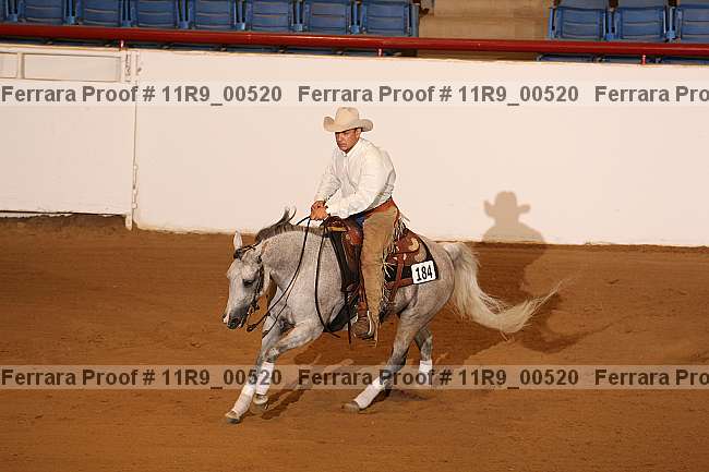 Proof 11r9_00520