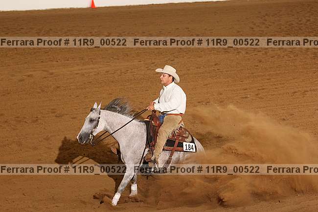 Proof 11r9_00522