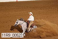 11r9_00522 proof