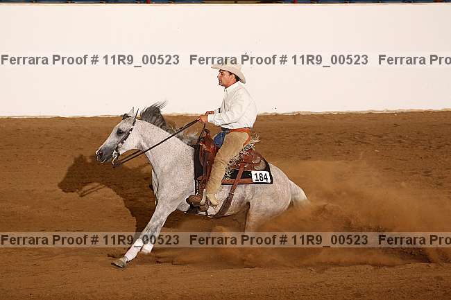 Proof 11r9_00523