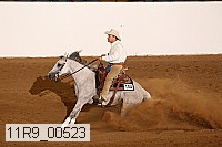11r9_00523 proof