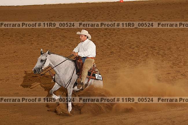 Proof 11r9_00524