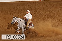 11r9_00524 proof