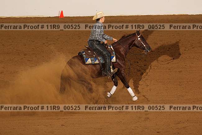 Proof 11r9_00525