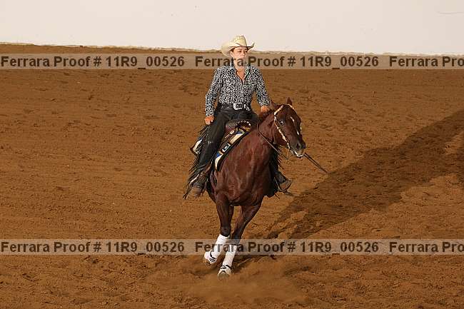Proof 11r9_00526