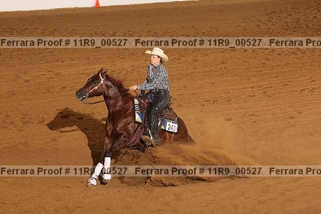 Proof 11r9_00527