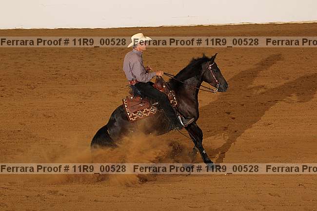 Proof 11r9_00528
