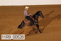 11r9_00528 proof