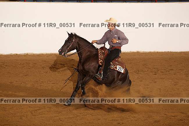 Proof 11r9_00531