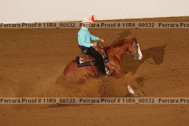 Proof 11r9_00532