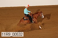 11r9_00532 proof