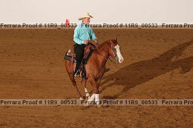 Proof 11r9_00533