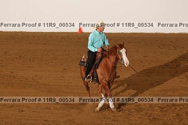 Proof 11r9_00534