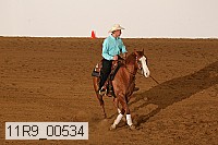 11r9_00534 proof