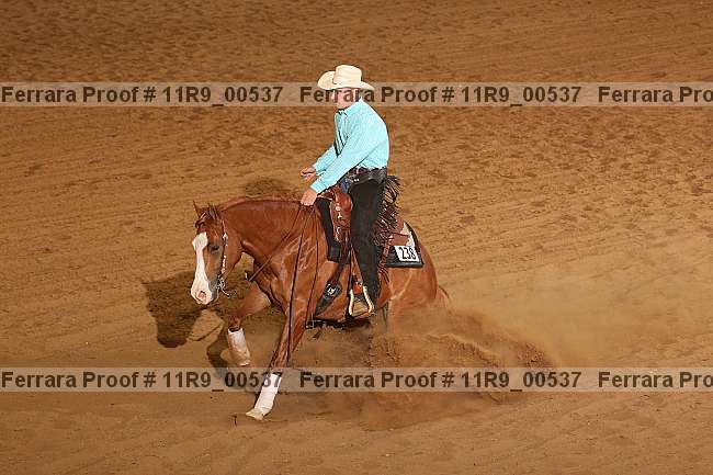 Proof 11r9_00537