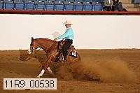 11r9_00538 proof