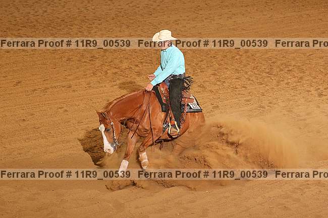 Proof 11r9_00539