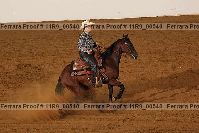 Proof 11r9_00540