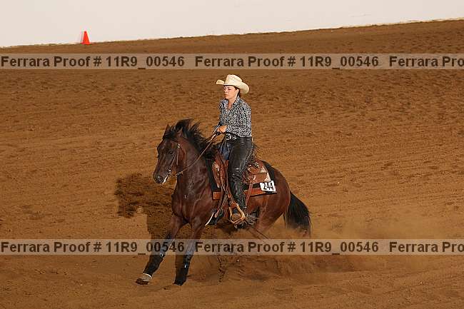 Proof 11r9_00546
