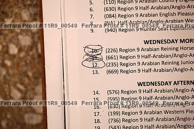 Proof 11r9_00549