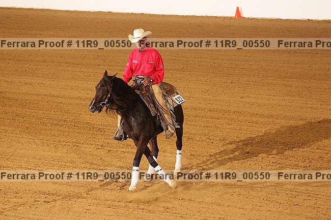 Proof 11r9_00550
