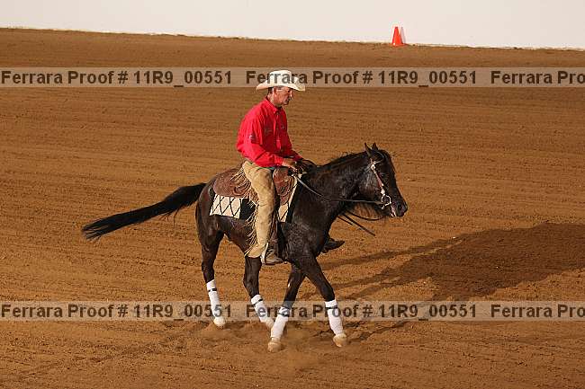 Proof 11r9_00551