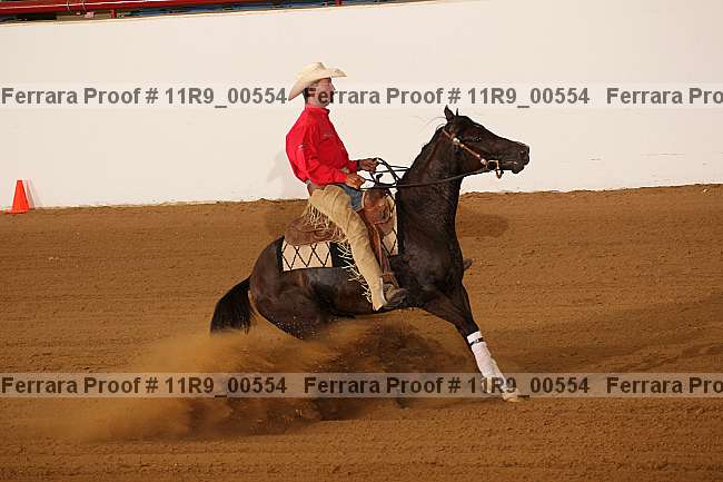 Proof 11r9_00554