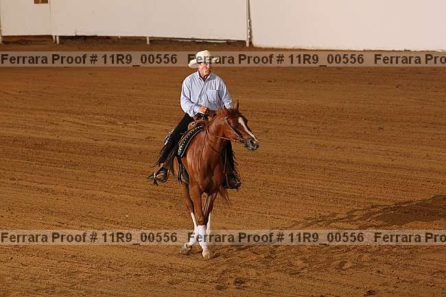Proof 11r9_00556