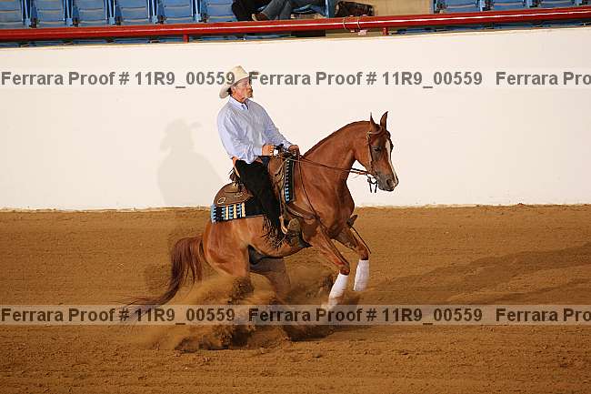 Proof 11r9_00559