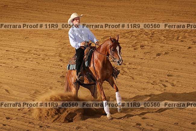 Proof 11r9_00560