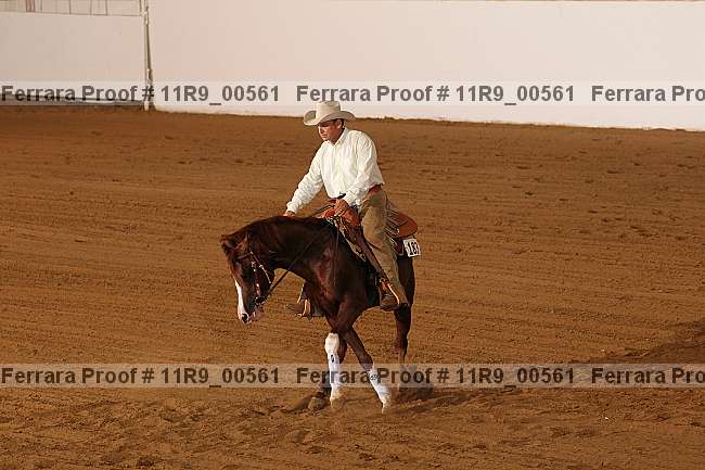 Proof 11r9_00561