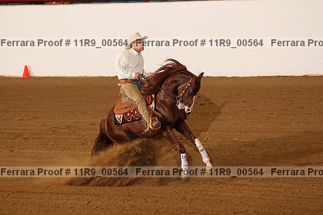 Proof 11r9_00564